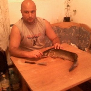 Cezar1974