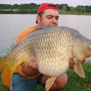 Periutza
