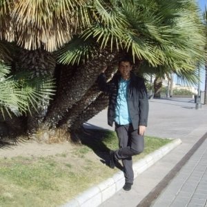 Alexrap
