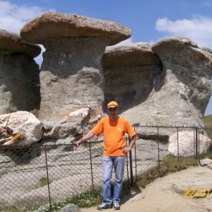 Silvius_florin