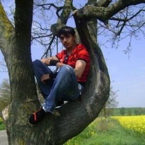 Gelu2007_br