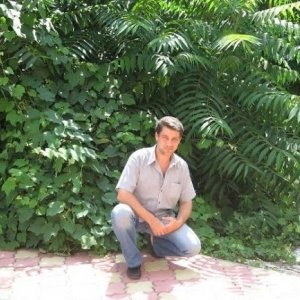 Florinmsc