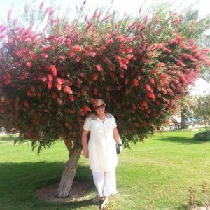 Lorena4