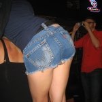 gattina