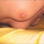 tzuchi_bianca