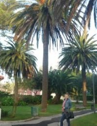 Jenny 25 ani Escorta din Valcea