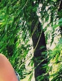 Iordana_pop 19 ani Escorta din Vaslui