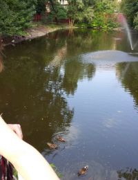 Opreacatalinutza 19 ani Escorta din Braila