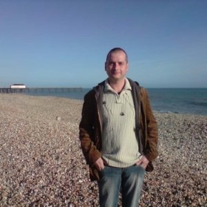 Florin_goran