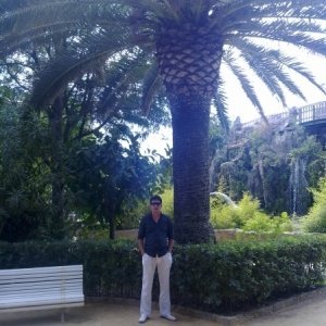 Ilievirgil74