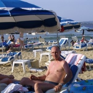 Vilut