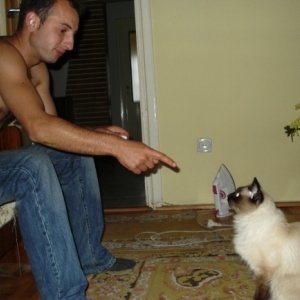 Marianion000_tl