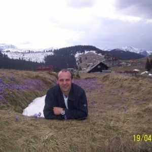 Mihai_swinger