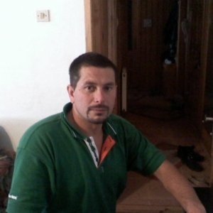 Andreibusi