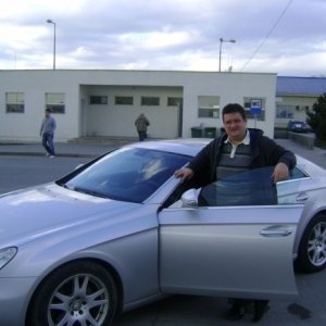Cerbul26