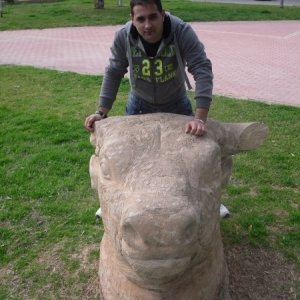 Darius87