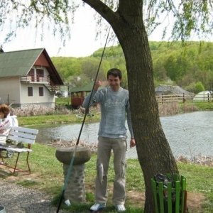 Viorel24