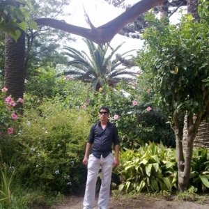 Ilievirgil74