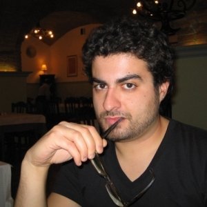 Darie2007