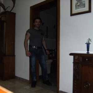 Wasy81