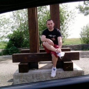 Raulnik
