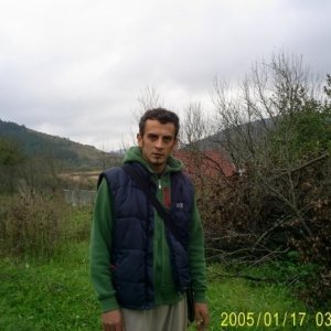 Fantezii