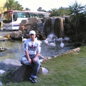 Ovidiu26