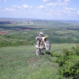 Istvan_david
