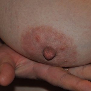 Anji77