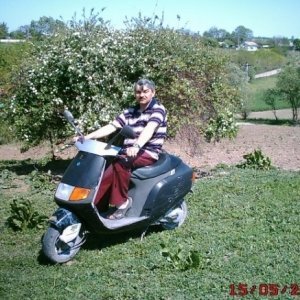 Boby_terente