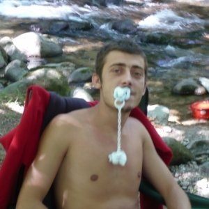 Corb_alb