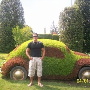 Mihai_nikusor