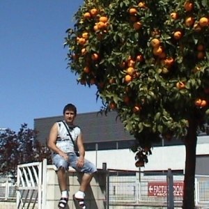 Bogdan_71