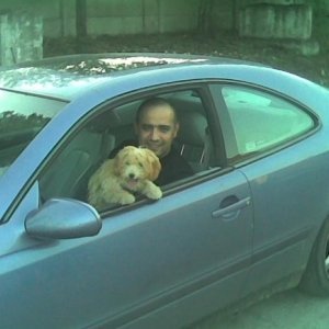 Daniel_81