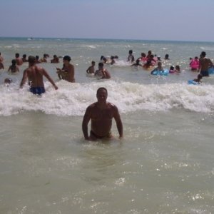 Myrcea2010