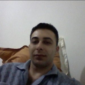 Alin2005