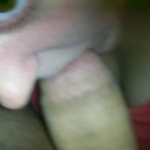 Camelia_mam