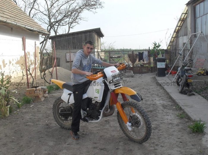 mircea