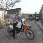 mircea